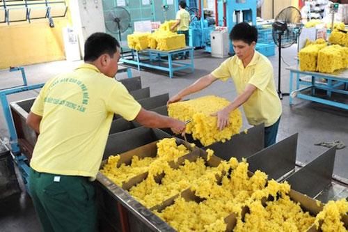 Xuất khẩu cao su giảm hơn 30%, dự báo sẽ còn khó khăn