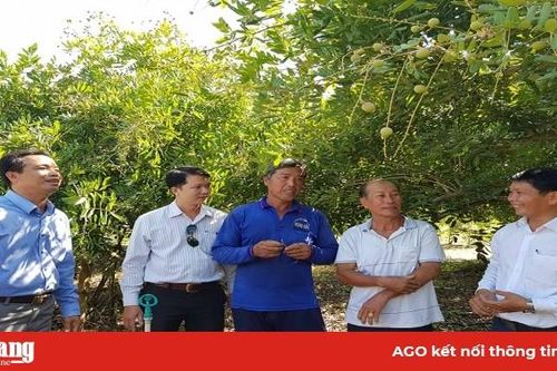Nâng cao hiệu quả kinh tế tập thể