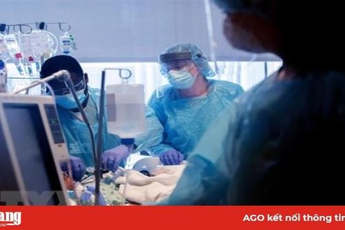 Mỹ: Thực hiện thành công ca ghép phổi cho bệnh nhân mắc COVID-19