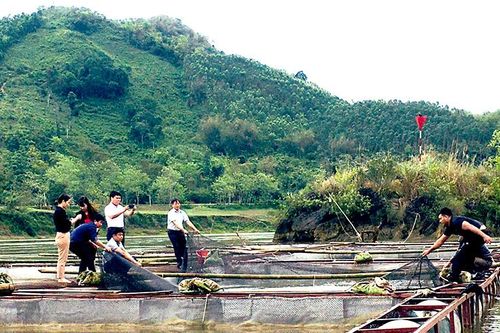 Tăng cường quản lý tài nguyên nước