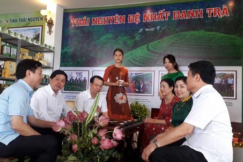 Bàn giải pháp phát triển sản xuất chè bền vững