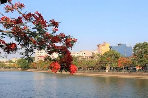 Khám phá những con đường đầy sắc hoa ở Hải Phòng