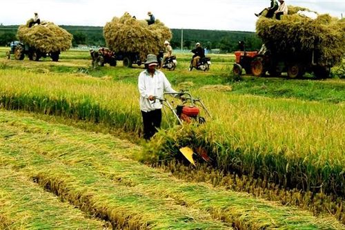 Thời cơ vàng cho nông sản