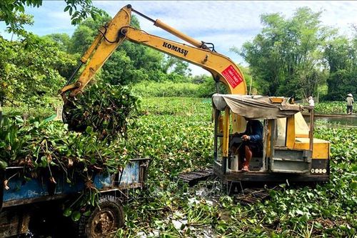 Thừa Thiên - Huế: Ra quân trục vớt bèo khơi thông dòng chảy