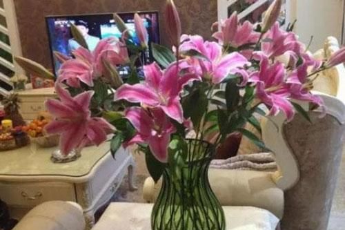 Thêm một viên thuốc nhỏ trong nước, thời gian hoa nở sẽ được nhân đôi
