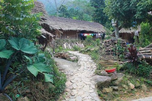 Đến Đà Bắc, thưởng thức thịt chuột rừng