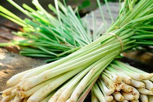 10 tác dụng của củ sả với sức khỏe và làm đẹp