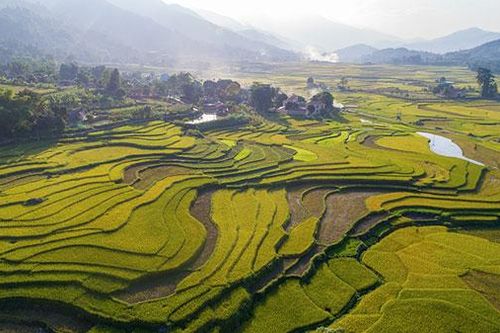 Ngắm ruộng bậc thang Hợp Thành mùa lúa chín