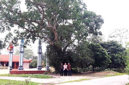 Tìm lại Lỵ sở trấn Tuyên Quang thời vua Lê Dụ Tông