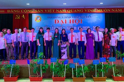 Khuyến khích hoạt động phát triển Đông y