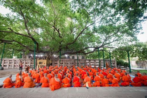 Công đức chiêm bái Phật tích