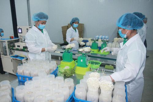 Thu hút nguồn lực cho nông nghiệp công nghệ cao