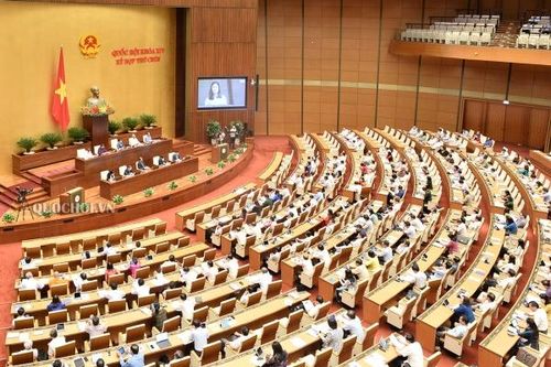 Nhiều Đại biểu Quốc hội ấn tượng về kỳ tích phòng, chống COVID-19