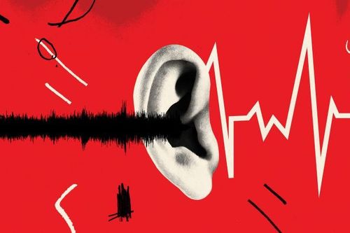 Đây là từ xuất hiện trong mọi ngôn ngữ, kể cả tiếng Việt