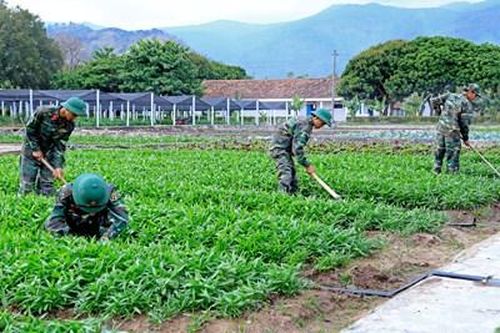 Vượt khó bảo đảm đời sống bộ đội