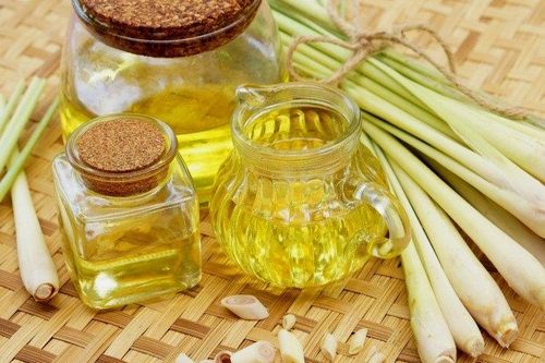 Mẹo đuổi ruồi đơn giản, hiệu quả chỉ bằng nguyên liệu tự nhiên