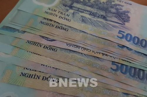 Tập đoàn Sao Mai chưa chi trả cổ tức năm 2019