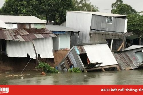 Sạt lở rạch Cái Sao, nhiều hộ dân phải di dời khẩn cấp