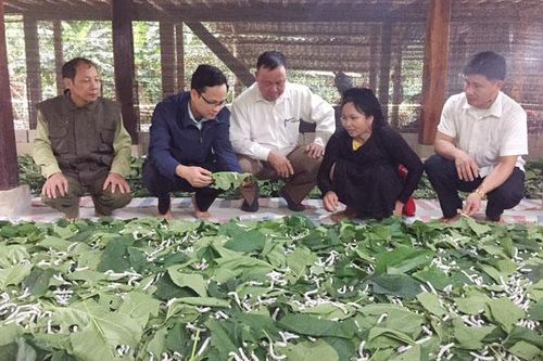 Nông dân Bảo Yên thi đua làm kinh tế giỏi