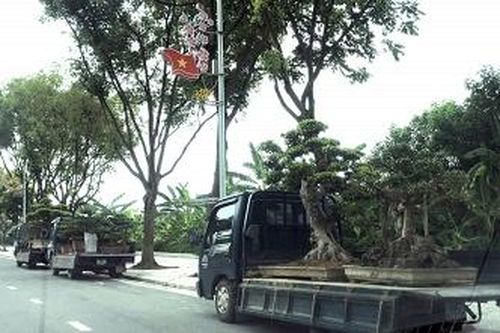 Cần chấm dứt tình trạng bán hàng rong trên đường Nguyễn Tất Thành