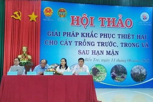 Bến Tre: Hợp tác '4 nhà' trong tìm kiếm giải pháp phát triển cây trồng bền vững do hạn mặn