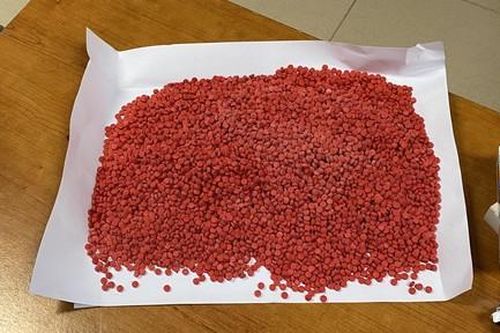 Phá đường dây buôn ma túy liên tỉnh do nữ quái cầm đầu