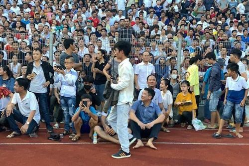 Trưởng BTC V-League: 'Sẽ có án phạt cho sự cố vỡ sân Hà Tĩnh'