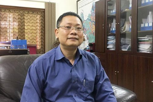 Chủ động cắt tỉa, bảo đảm an toàn hệ thống cây xanh