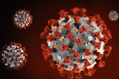 Hoạt tính của SARS-CoV-2 không giảm trong tiết trời nắng nóng