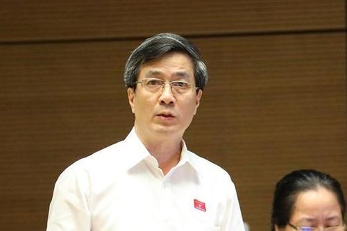 'Dọn tổ cho đại bàng thì cũng nên rắc thóc cho chào mào, chim sẻ'