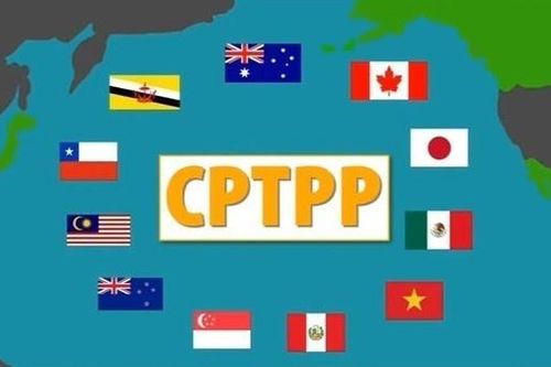 Kinh tế toàn cầu ảnh hưởng do Covid-19, các thành viên CPTPP cân nhắc tổ chức Hội nghị bộ trưởng