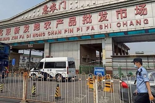 Có gì ở Xinfadi - chợ đầu mối lớn nhất Bắc Kinh vừa hóa ổ dịch COVID-19?