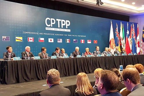 Các nước CPTPP cân nhắc tổ chức hội nghị bộ trưởng trực tuyến