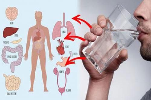 Uống 1 ngụm nước ấm khi ngủ dậy theo đúng cách này, công dụng quý hơn 'thần dược'