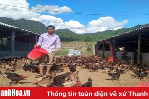 Hiệu quả giảm nghèo ở xã 135