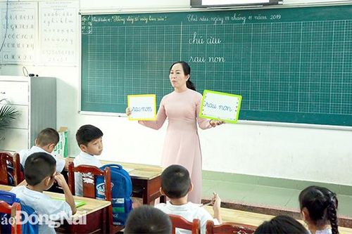 Giữa tháng 8, sách giáo khoa lớp 1 mới về đến trường