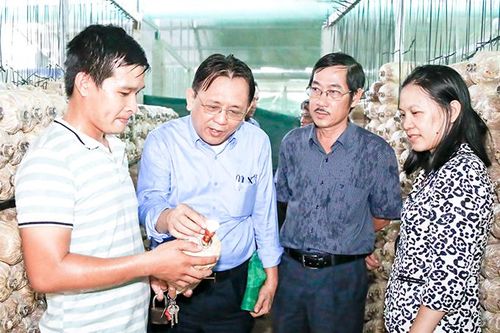 Khảo sát các sản phẩm OCOP tại Ninh Hòa và Vạn Ninh