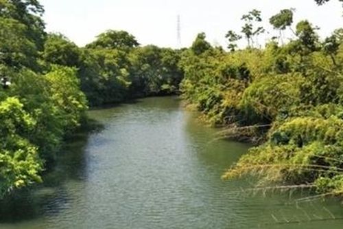 Người đàn ông Trung Quốc bị bắt vì ném thi thể một phụ nữ xuống sông