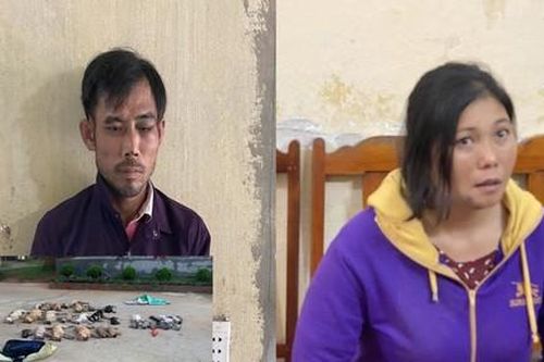 Phá đường dây dùng chất độc Cyanua trộm chó liên tỉnh