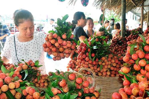 6 tháng đầu năm 2020, xuất khẩu rau, quả đạt hơn 1,5 tỷ USD