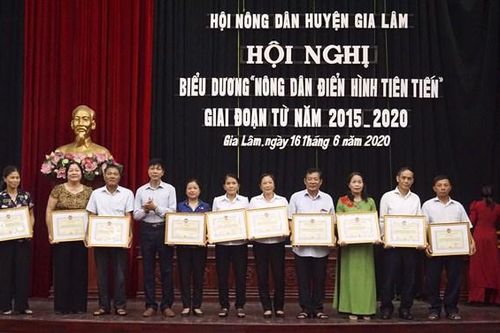 Gia Lâm: Tổng kết phong trào thi đua yêu nước, biểu dương 'Nông dân điển hình tiên tiến'