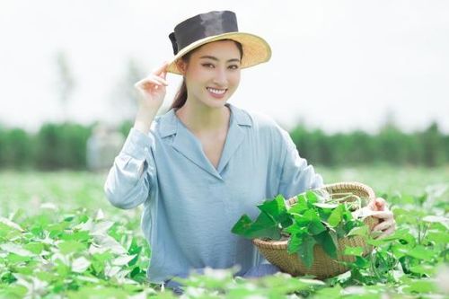 Hoa hậu Lương Thùy Linh thử sức làm MC truyền hình