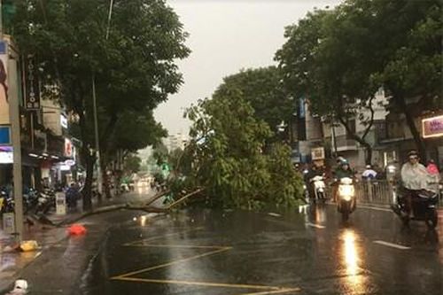Thành phố Hồ Chí Minh: Mưa lớn giờ cao điểm ảnh hưởng đến giao thông