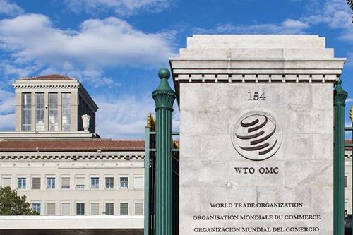 Hậu Covid-19: Tránh 'lý lẽ thuộc về kẻ mạnh', Nhóm Ottawa nỗ lực cải cách WTO