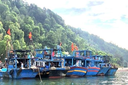 Bắt giữ 6 phương tiện có hành vi khai thác thủy sản trái phép