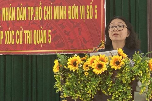 Cử tri TPHCM đề nghị giám sát gói hỗ trợ 62.000 tỷ đồng