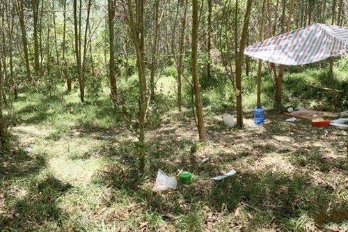 Bắt giam nam sinh giấu bé trai 5 tuổi trong rừng