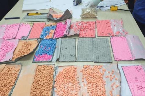Gửi 9kg ma túy từ châu Âu về TP Hồ Chí Minh