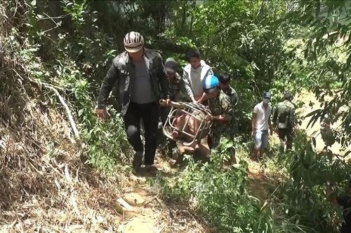 Kiểm soát vận chuyển lợn và sản phẩm từ lợn