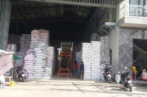 Sau khi tăng ở mức kỷ lục, giá gạo đã bắt đầu sụt giảm